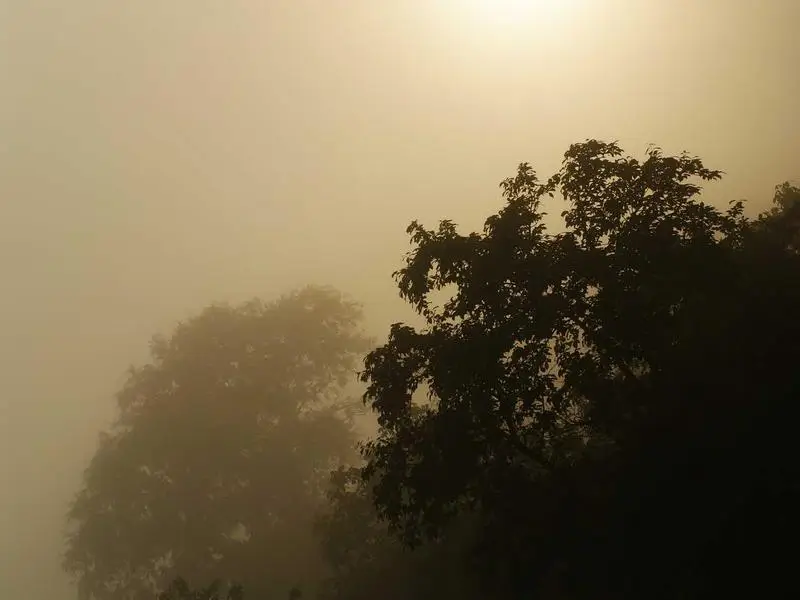 CartTrigger – Quantity Discounts