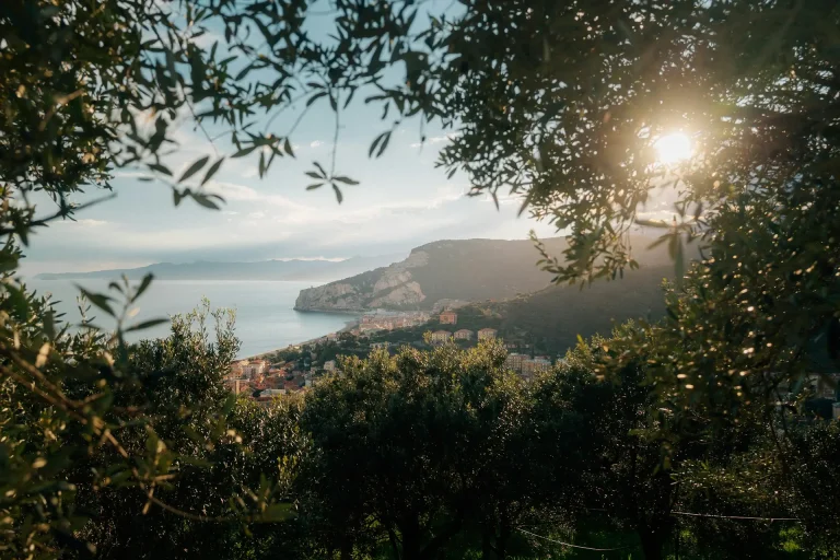 Poletto abre sus puertas en España